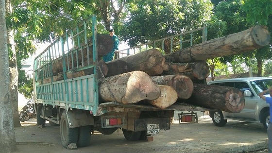 Kon Tum: Bắt giữ hơn 11 m3 gỗ không rõ nguồn gốc