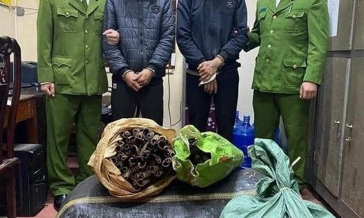 Nghệ An: Bóc trộm quế, bán lấy tiền mua thuốc thỏa mãn cơn nghiện