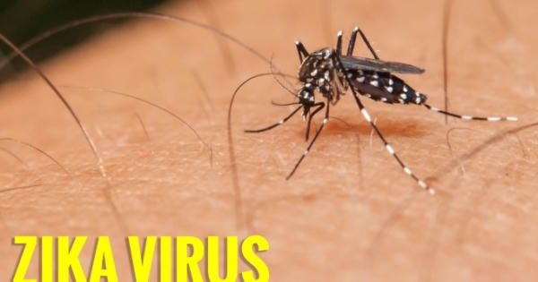 46 người nhiễm virus Zika tại TP HCM