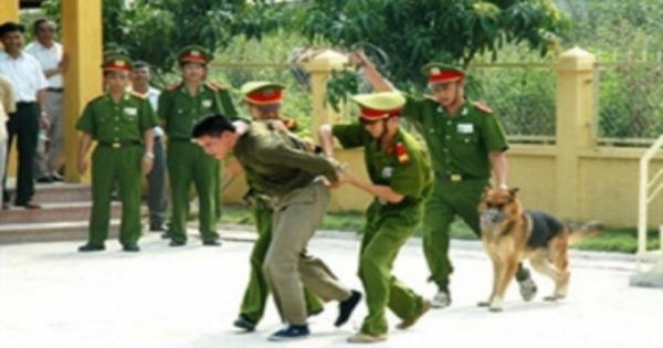 Quốc hội xem xét kết quả công tác tư pháp, nội chính