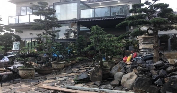 4 mẫu biệt thự đón nắng và gió khiến ai cũng phải mê đắm