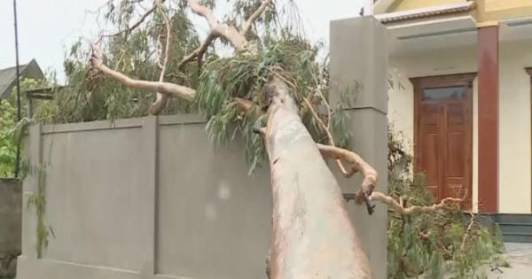 Lốc xoáy và mưa lớn thổi bay hơn 30 căn nhà ở Quảng Bình Lốc xoáy và mưa lớn thổi bay hơn 30 căn nhà ở Quảng Bình