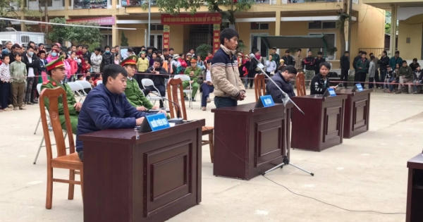 Hà Giang: Lĩnh 15 tháng tù vì chặt một cây nghiến rừng