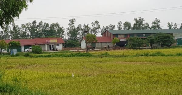 Hàng nghìn mét vuông đất nông nghiệp bị chiếm dụng