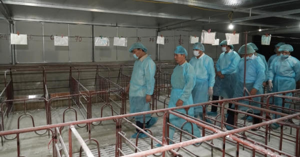 Thủ tướng kiểm tra, đôn đốc công tác phòng chống dịch tả lợn Châu Phi