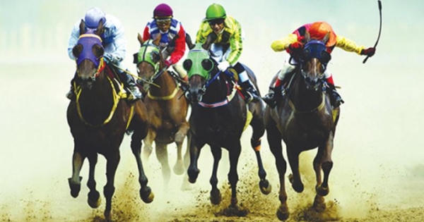Trường đua ngựa: Dự án kinh doanh đặt cược Trường đua ngựa: Dự án kinh doanh đặt cược