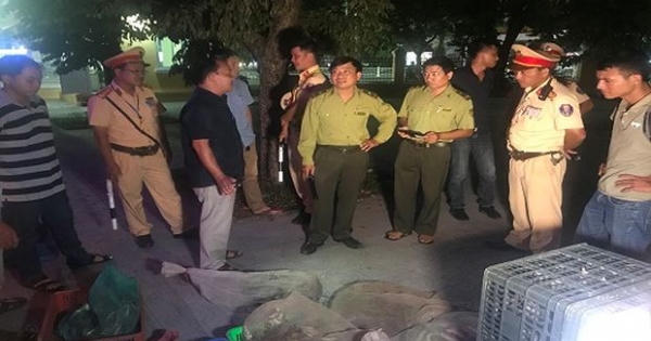 Thừa Thiên Huế: Phát hiện hàng trăm cá thể rắn không rõ nguồn gốc xuất xứ