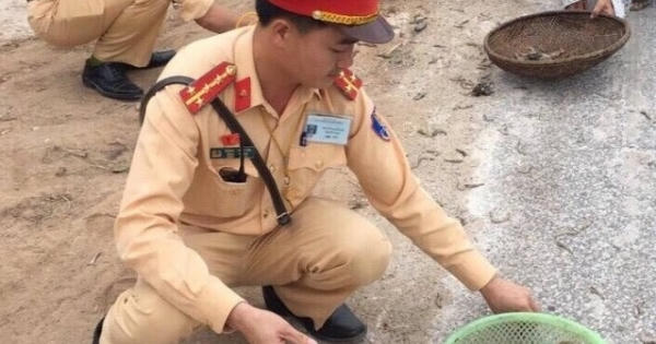 Dân mạng hết lời khen ngợi CSGT giúp dân nhặt tôm, cua bị đổ tràn trên quốc lộ