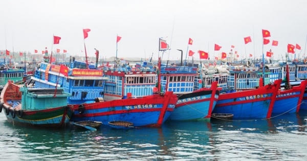 Quảng Ngãi nghiêm cấm tàu, thuyền ra biển hoạt động từ 20h tối 26/10