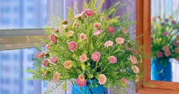 Chinh phục loài hoa đồng tiền 'đỏng đảnh' khó tạo hình bậc nhất
