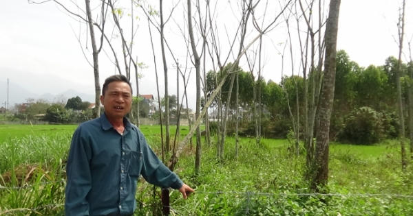 "Vòng tròn đá quanh" ở huyện Sơn Dương, cách ứng xử "lạ lùng"