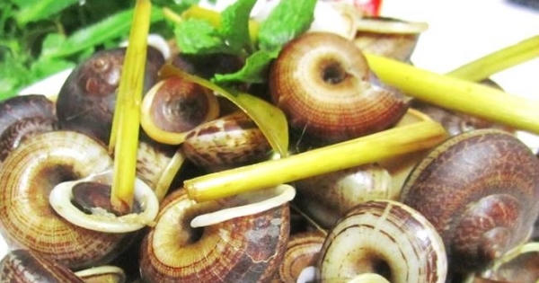 Ốc núi, món ăn hấp dẫn không thể bỏ qua khi tới Ninh Bình