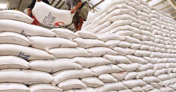 Tạm đình chỉ công tác 7 Cục trưởng liên quan đến dự trữ gạo quốc gia