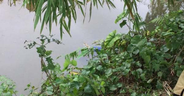 Thanh Hóa: Hoảng hốt phát hiện thi thể người đàn ông dưới suối