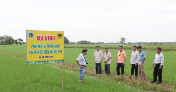 Canh tác thông minh - Chương trình mới về nông nghiệp sắp ra mắt khán giả truyền hình