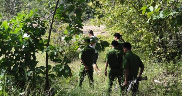 Truy lùng "yêu tinh" nghề trộm