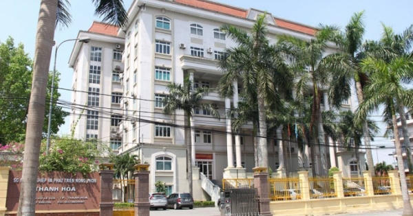 "Hoàng hôn" nhiệm kỳ, giám đốc Sở Nông nghiệp Thanh Hóa bổ nhiệm sai phạm 23 nhân sự "Hoàng hôn" nhiệm kỳ, giám đốc Sở Nông nghiệp Thanh Hóa bổ nhiệm sai phạm 23 nhân sự