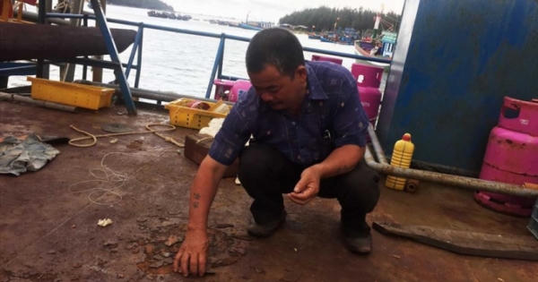 Tiến độ sửa chữa, bàn giao tàu 67 cho ngư dân Bình Định bị chậm trên 1 tháng Tiến độ sửa chữa, bàn giao tàu 67 cho ngư dân Bình Định bị chậm trên 1 tháng