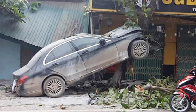 Xế sang “trèo” cây, tài xế nhập viện