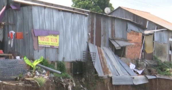 Người dân liều mình sống trong vùng sạt lở ở Đồng Tháp