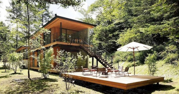 Trải nghiệm thiên nhiên hoang sơ với ngôi nhà trong rừng