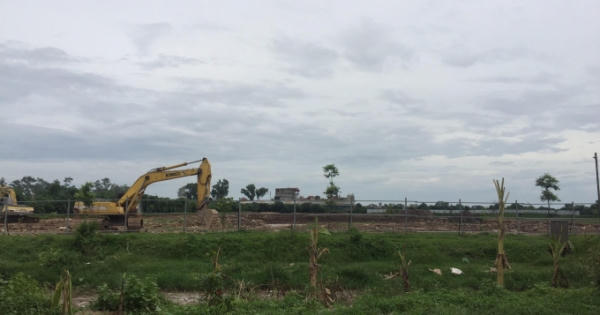 Hà Nội: Đất trồng lúa “biến” thành ao, hồ nuôi cá?