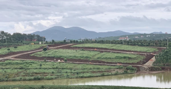 Dự án The Tea Gardens tiềm ẩn nhiều rủi ro pháp lý?