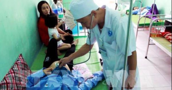 Thái Bình: 50 người bị ngộ độc do ăn tiết canh lợn rừng nuôi tại nhà