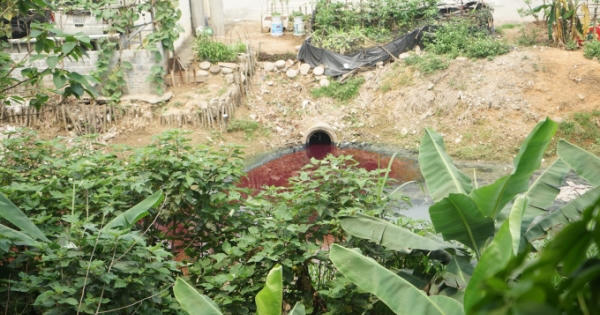 Cụm công nghiệp Di Trạch: Dân kêu cứu vì 18 doanh nghiệp xả thải gây ô nhiễm