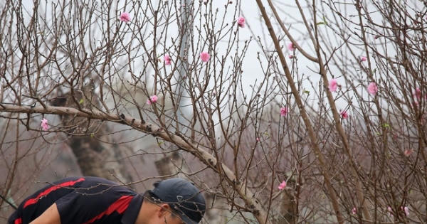 Chốt đề xuất lịch nghỉ Tết Nguyên đán Nhâm Dần năm 2022