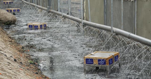 Mục sở thị công nghệ biến bùn thành CO2 và nước trên sông Tô Lịch