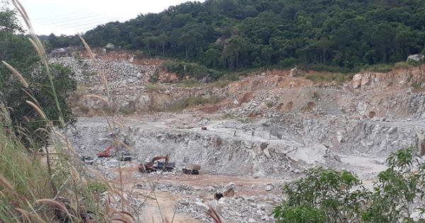 Rừng phòng hộ núi Dinh bị ‘xẻ thịt’