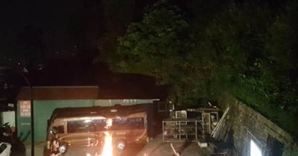 Vĩnh Phúc: Cần siết chặt bảo vệ Vườn quốc gia Tam Đảo