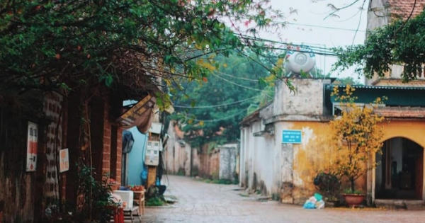 Bảo tồn làng cổ, nhà cổ để tài nguyên không 'chết dần'