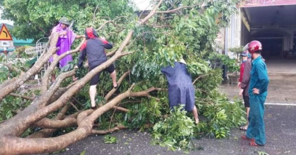 Giông lốc khiến nhiều cây cối, nhà cửa ở Nghệ An đổ sập