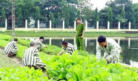 Phạm nhân bị điện giật tử vong trong trại giam Phạm nhân bị điện giật tử vong trong trại giam