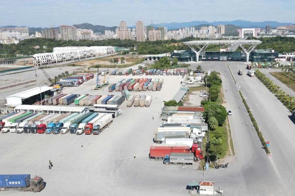 Ngành Hải quan Quảng Ninh tăng tốc thu xuất nhập khẩu ngay từ đầu năm 2026 Ngành Hải quan Quảng Ninh tăng tốc thu xuất nhập khẩu ngay từ đầu năm 2026