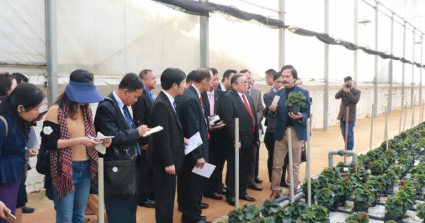 Hợp tác phát triển nông nghiệp giữa 3 nước Đông Dương