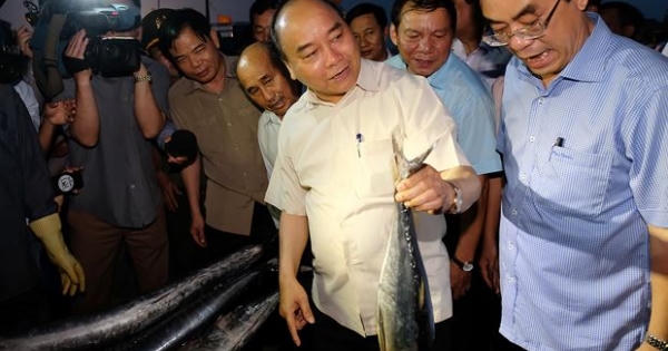 Chia vui với ngư dân miền Trung, Thủ tướng mua 10kg cá 'đãi' đoàn công tác