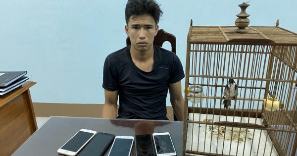 Bắt giữ nam thanh niên "đầy" tiền án, đi trộm chim