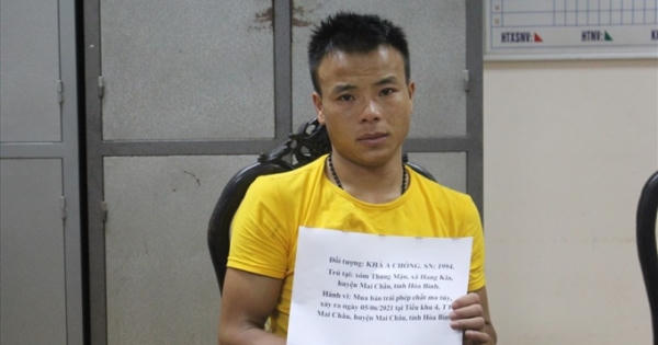 Hoà Bình: Tạm giữ nam thanh niên mua bán số lượng lớn ma tuý