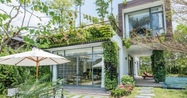 Bùng nổ lần 2 với Flamingo