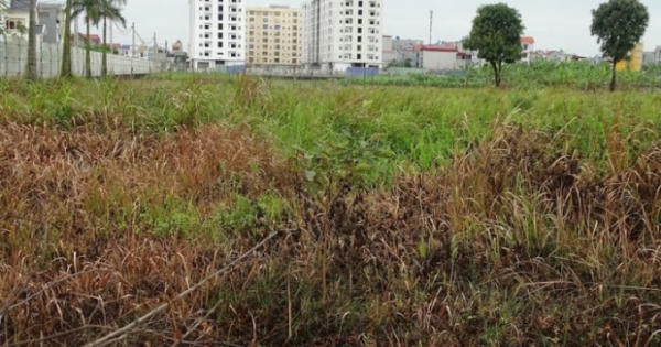 Dự án Trung tâm phân phối ô tô Huyndai chậm tiến độ, xót xa đất vàng bỏ hoang? Dự án Trung tâm phân phối ô tô Huyndai chậm tiến độ, xót xa đất vàng bỏ hoang?