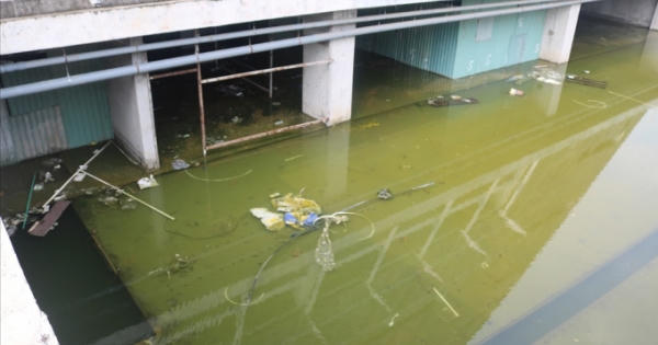 TPHCM: Trung tâm Triển lãm 800 tỷ dở dang, hoang tàn, ai phải chịu trách nhiệm?