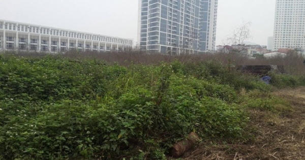 "Siêu dự án" Booyoung Vina giờ như bãi đất hoang!