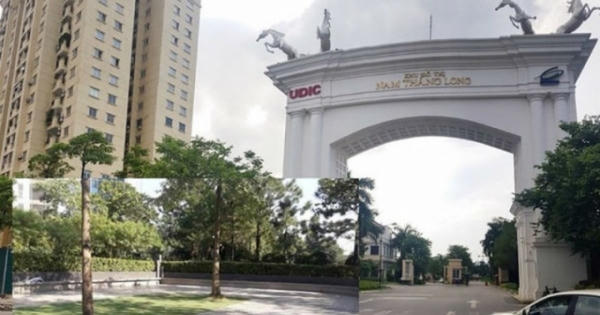 Bệnh ngang ngược