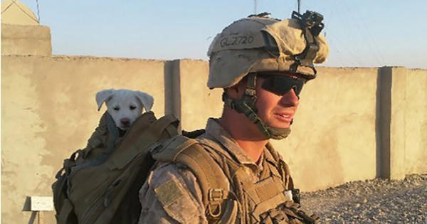 Cựu lính thủy đánh bộ xả súng khiến 12 người chết tại Mỹ