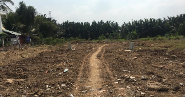 Cần làm rõ động cơ, mục đích của Tiên Phong Land khi lập dự án ma, bán đất khống?