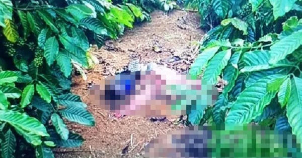 Đã bắt được tên sát nhân giết người rồi vứt xác trong rẫy cà phê