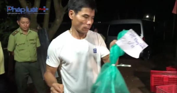 Bình Phước: Phát hiện số lượng lớn động vật hoang dã quý hiếm tại hộ gia đình Bình Phước: Phát hiện số lượng lớn động vật hoang dã quý hiếm tại hộ gia đình